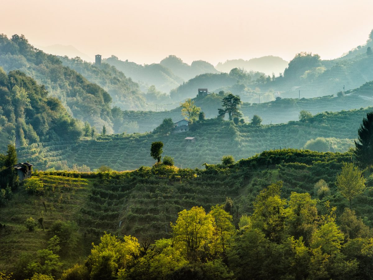 Primavera del Prosecco / Prosecco Spring Festival 2026